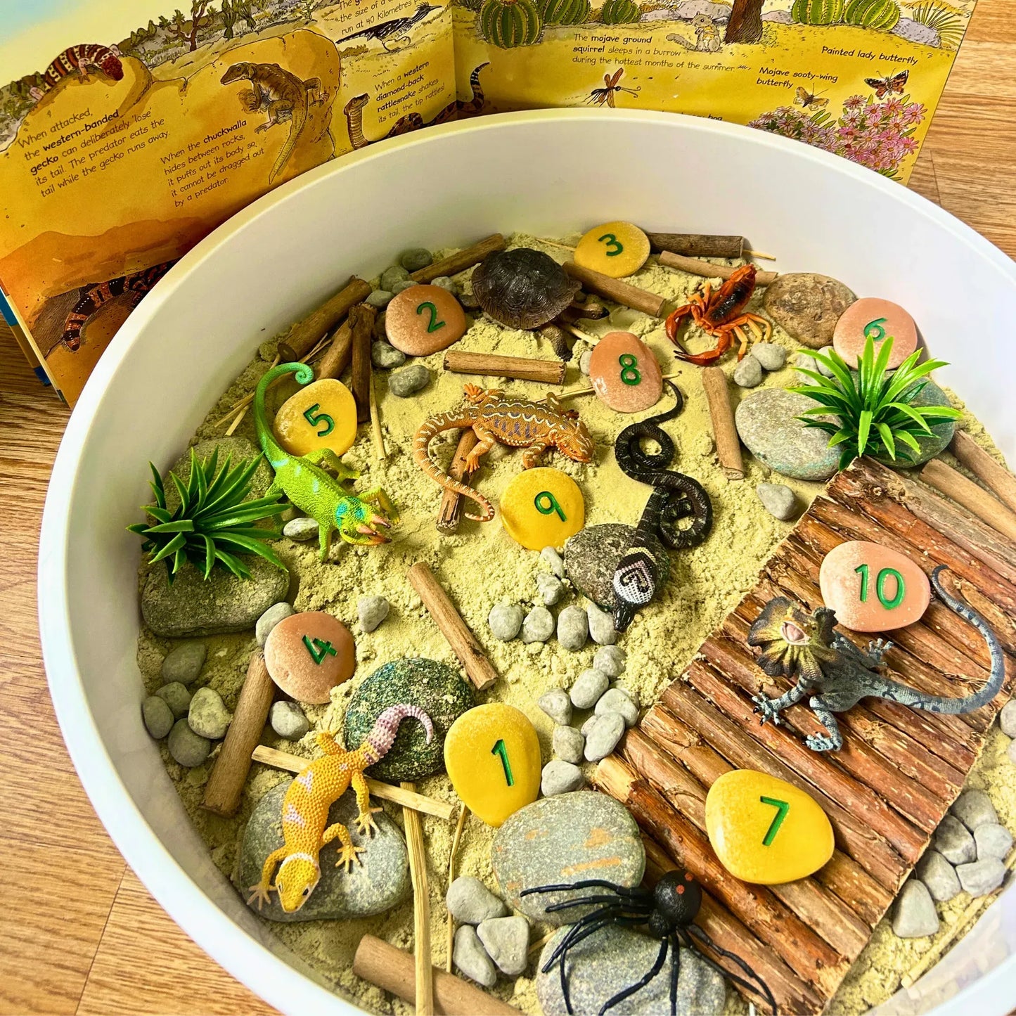 12-Piece Reptile Animals Figurine Playset