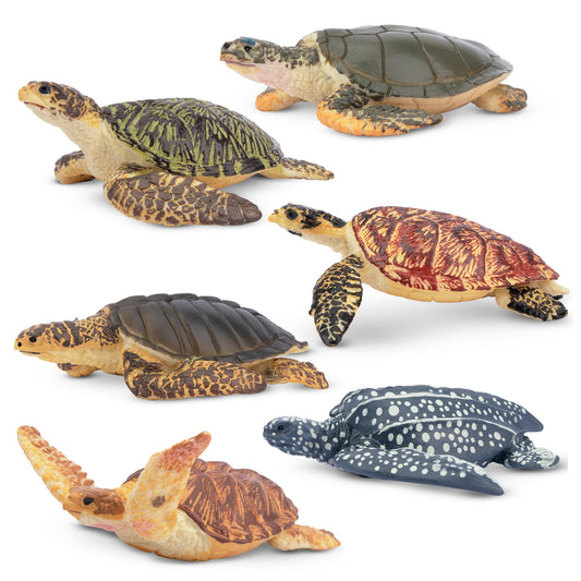 6-Piece Sea Turtle Figurine Playset